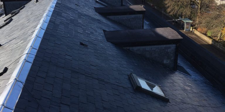 roofing-paisley-768x1024